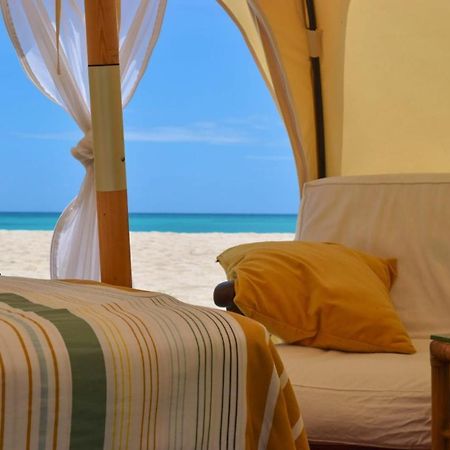 Wild Lotus Glamping Bolands Exterior foto