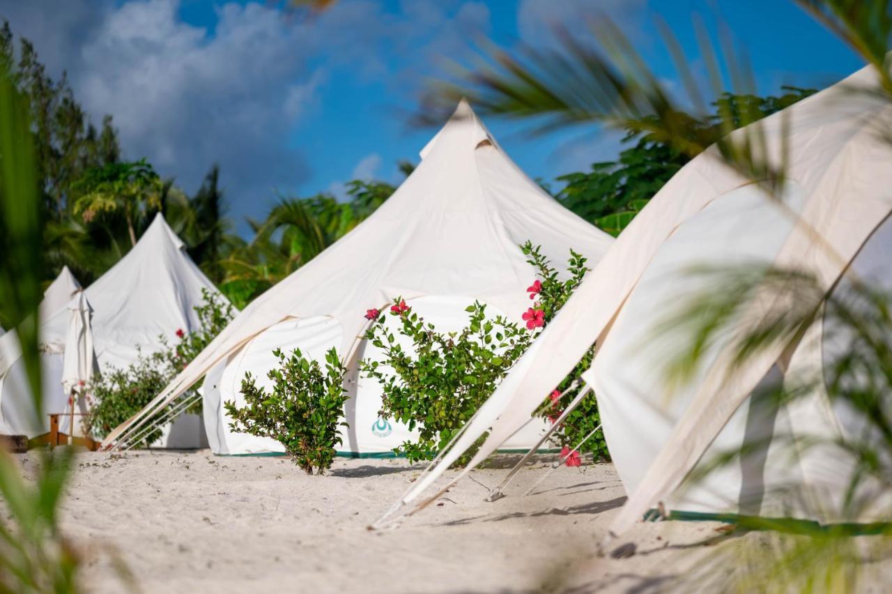 Wild Lotus Glamping Bolands Exterior foto